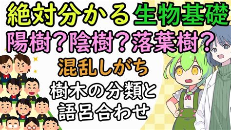 陽樹|陰樹と陽樹の違いと代表的な樹木 